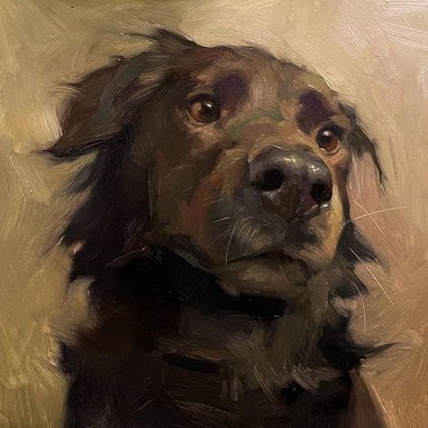 Jennifer Gennari, Pet Portrait Paintings, Dog Portraits Painting, Dog Portraits Art, Animal Poster, Arte Inspo, Realism Art, Arte Animal, Art Inspiration Painting