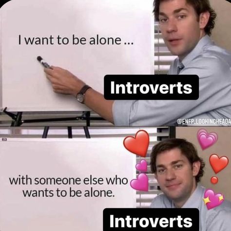 Introvert Aesthetic Quotes, Infp Personality Aesthetic, Isfp Memes, Introvert Aesthetic, Infj Things, Funny Puppies, Puppies And Kittens, Intp T, Mbti Memes