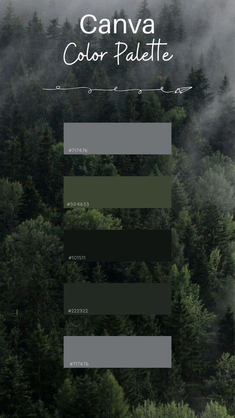 Canva Color Palette Codes Black, Color Palate Canva, Colour Palette For Bedroom, Canva Palettes Color, Canva Colour Palettes, Colors That Go With Gray, Canva Color Pallete, Canva Color Codes, Modern Color Palette Branding