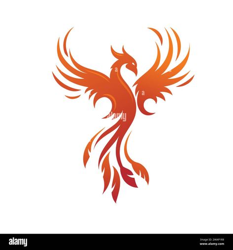 Download this stock vector: Phoenix logo of mythological bird vector illustration - 2WAP1R8 from Alamy's library of millions of high resolution stock photos, illustrations and vectors. Chinese Phoenix Illustration, Phoenix Graffiti, Phoenix Illustration, Logo Phoenix, Phoenix Vector, Nest Logo, Wolf Art Fantasy, Phoenix Fire, Phoenix Logo