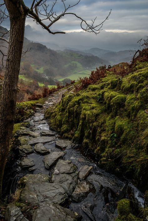 Hunkered beneath the pockmarked peak of the Old Man (803m), the lakeside village of Coniston was originally established as a centre for the copper-mining industry, but the only remnants of the industry are the many abandoned quarries and mine shafts that now litter the surrounding hilltops. English Countryside, Alam Yang Indah, Lake District, Pretty Places, Albania, A Tree, Beautiful World, Beautiful Landscapes, Wonders Of The World