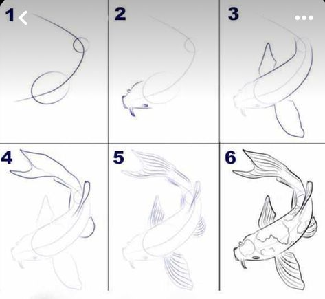 Koi Fish Outline Drawing, How To Draw A Koi Fish, How To Draw Koi Fish, Koi Pond Drawing, Koi Fish Doodle, Draw A Koi Fish, Pond Drawing, Intermediate Art, Fish Outline