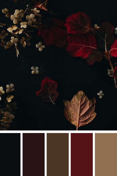 A rich palette of autumn colors, including deep reds, browns, and hints of gold. The contrast of the dark background with the vibrant leaves and delicate flowers creates a sophisticated and elegant aesthetic, ideal for seasonal and nature-inspired designs. Dark Autumn Wedding Colors, Dark And Moody Color Scheme, Burgundy Gold Black Color Palette, Red Color Palette Living Room, Dark Earth Tone Paint Colors, Dark And Colorful Aesthetic, Dark Gothic Color Palette, Red Brown Gold Color Palette, Autumn Color Bedroom Ideas