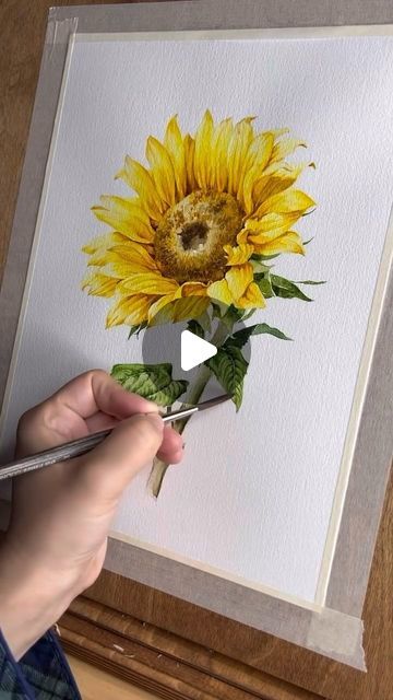 AQUARELLE 🐬 FREE art sharing page on Instagram: "Sunflower by @aquarelltraum_art 🌻 Inspiring gallery @watercolor_daily 🌿" Sunflower Watercolor Tutorial, Grass Painting Watercolor, Watercolor Sunflowers Tutorial, Video Painting, Watercolour Sunflowers, Sunflowers Watercolor, Watercolor Sunflower Tutorial, May Art, Photos Of Flowers