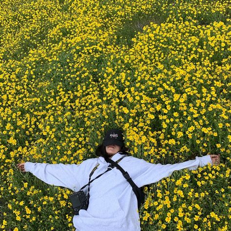 ☼𝚙𝚒𝚗//𝚐𝚊𝚛𝚢𝚓𝚘𝚑𝚗𝚋𝚊𝚜𝚜𝚘𝚗☼ Field Of Flowers, Tromso, Instagram Inspo, Mellow Yellow, Strike A Pose, Instagram Foto, Photography Inspo, Instagram Inspiration, Aesthetic Photography