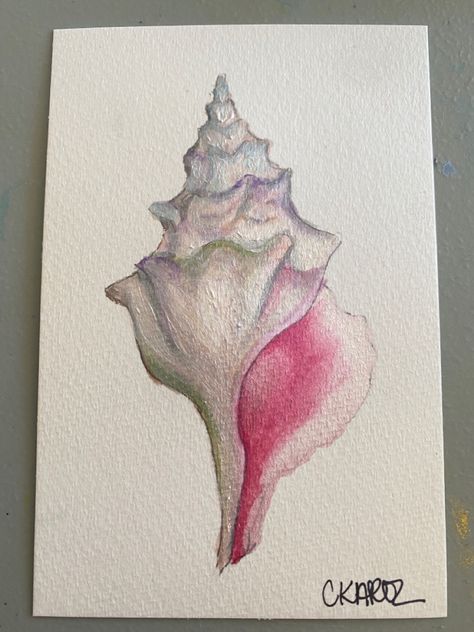 Watercolor Art Beginners, Shell Watercolor Painting, Sea Shell Painting Ideas, Water Colour Painting Ideas Inspiration, Sea Shell Drawing, Shells Watercolor, Pink Sketchbook, Seashell Watercolor, Watercolor Shells