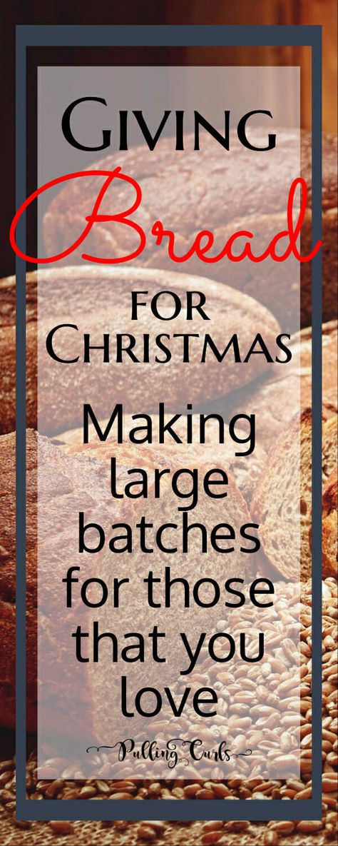 Bread For Gifts, Bread For Christmas, Christmas Bread Recipes, Bread Gifts, Christmas Baking Gifts, Holiday Bread, Christmas Bread, Christmas Neighbor, Christmas Platter