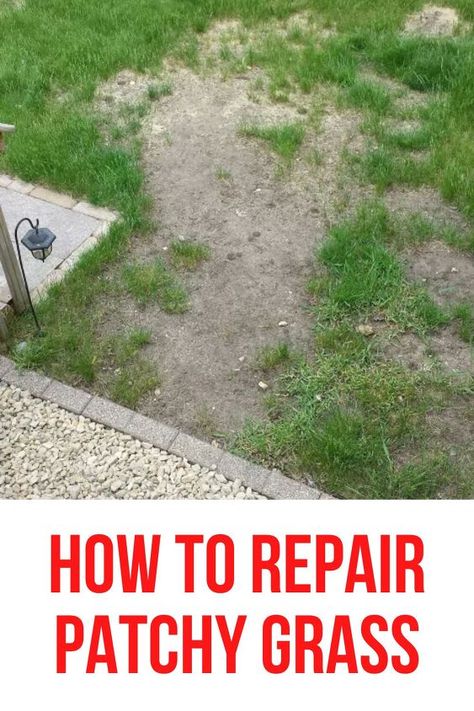 How to Repair Patchy Grass How To Get Your Grass To Grow Back, How To Over Seed Your Lawn, How To Sod A Yard, How To Grow Your Own Sod, Replanting Grass Lawn, Fast Growing Grass Seed, How To Fix Lawn, Grass Growing Tips Lawn, Lawn Maintenance Tips