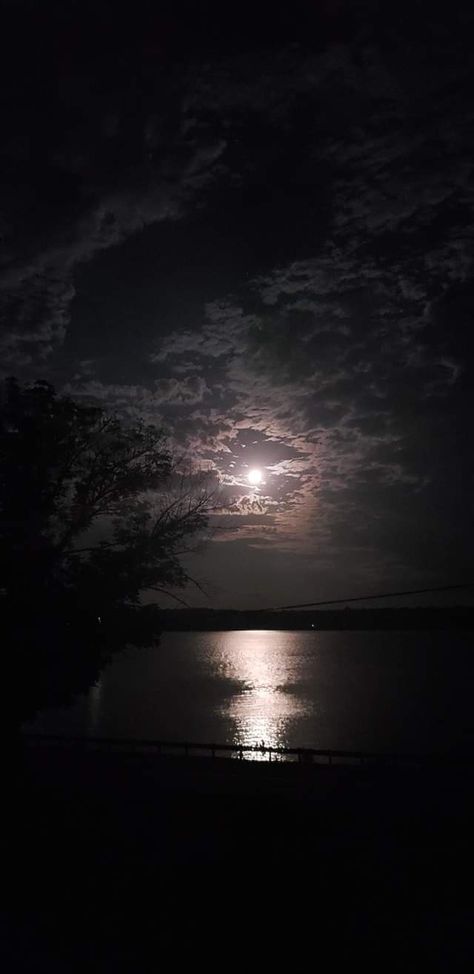 Moonlight On A River, Moonlight On The River, Backgrounds For Phones, Container House Interior, Gold Glitter Paint, Bedroom Wall Paint, Cute Backgrounds For Phones, Instagram Frame Template, Dark Paradise