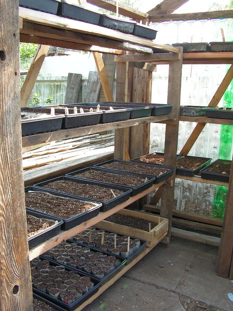 Greenhouse Shelving, Allotment Planning, Serre Diy, Greenhouse Shelves, Greenhouse Farming, Diy Greenhouse Plans, Greenhouse Shed, Greenhouse Interiors, Home Greenhouse