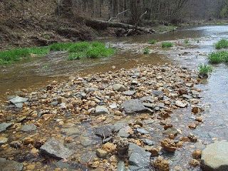 Geode Hunting, Rock Quarries, Saint Vincent And The Grenadines, Brown County, Rock Tumbler, Southern Indiana, River Bed, Saint Kitts And Nevis, Antigua And Barbuda