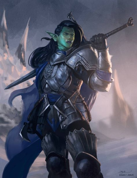 Half Orc Woman, Half Orc Paladin, Orc Woman, Orc Paladin, Dragons Inspiration, Dnd Orc, Dnd Paladin, Female Orc, Fantasy Genre