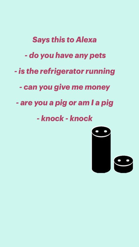 Things To Say To Alexa, Funny Alexa Commands, Alexa Commands, Baby Room Inspiration, Funny Animal Memes, Animal Memes, Just Me, Knock Knock, Really Funny