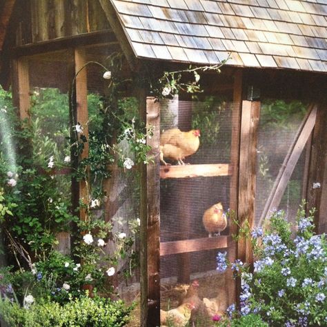 Mini Farm Aesthetic, Chicken Coop Aesthetic, Chickens Aesthetic, Future Farms, Countryside House, A Chicken, Chicken Coop, Dream Garden, Country Life