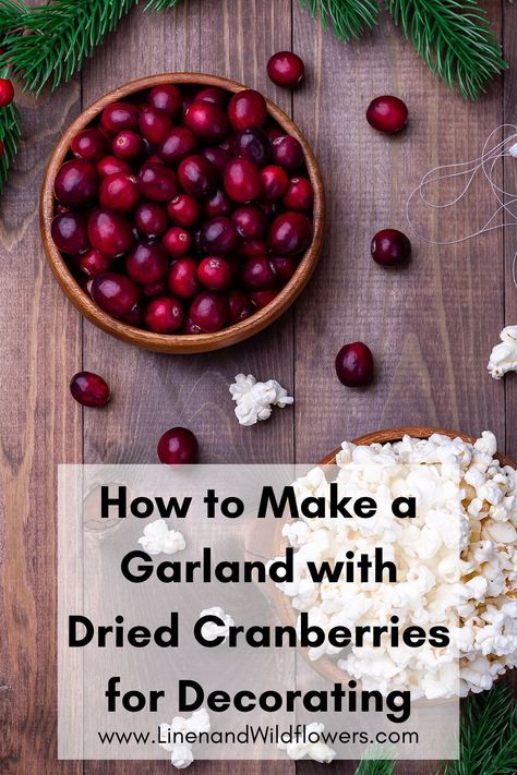 Cranberries Decor, Make A Garland, Cranberry Baking, Popcorn Garland, Diy Christmas Garland, Natural Christmas Decor, Ornament Garland, Berry Garland, Orange Decor