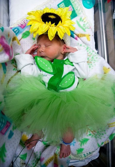 Image Preemie Halloween Costumes, Nicu Halloween, Newborn Halloween, Micro Preemie, Baby First Halloween, Halloween Express, Preemie Babies, Nicu Nurse, Baby Tips