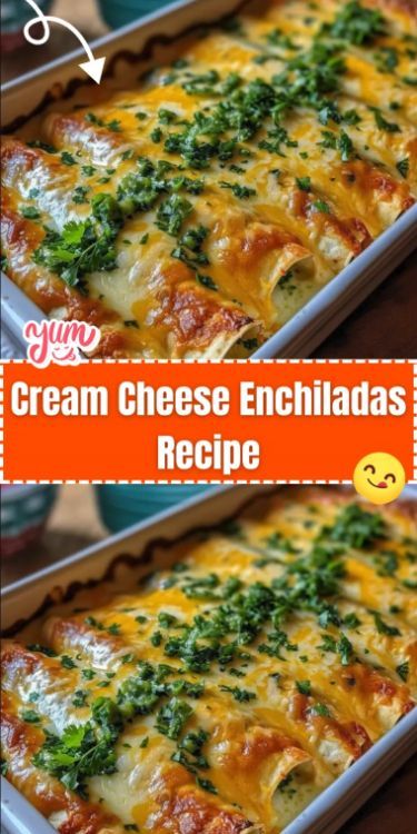 Cream Cheese Enchiladas are a creamy and flavorful twist on traditional enchiladas. Filled with a rich mixture of cream cheese, shredded chicken, and Mexican cheese, and topped with a smooth and savory sauce, these enchiladas are perfect for a comforting and satisfying meal. They’re great for family dinners, gatherings, or whenever you’re in the mood for a delicious Mexican-inspired dish. Can Chicken Enchiladas, Cream Cheese Enchiladas Chicken Easy, Sour Cream Cheese Enchiladas, Cream Cheese Enchiladas Chicken, Chicken Enchiladas With Cream Cheese, Cheese Enchiladas With Red Sauce, Cheese And Onion Enchiladas, Cheese Enchilada Recipe, Traditional Enchiladas