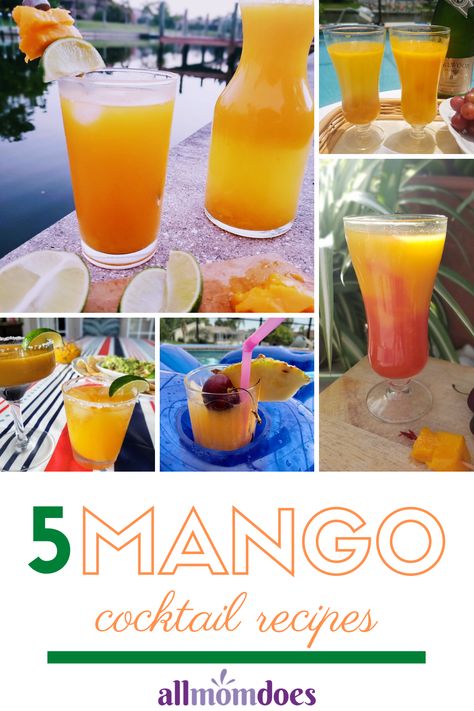 Cocktails With Mango Juice, Mango Frozen Drinks, Mango Puree Recipe For Drinks, Mango Juice Cocktail Recipes, Mango Tango Drink Cocktails, Mango Puree Cocktails, Mango Tango Drink Recipes, Mango Nectar Cocktail, Mango Drinks Nonalcoholic