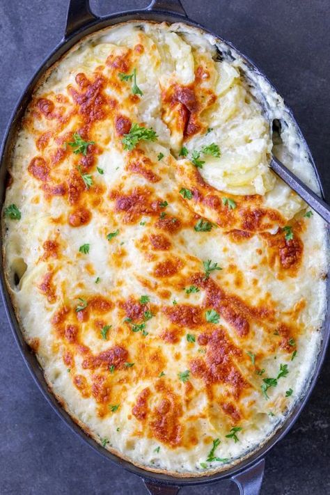 Best Scalloped Potatoes Recipe, The Best Scalloped Potatoes, Homemade Scalloped Potatoes, Easy Scalloped Potatoes Recipe, Best Scalloped Potatoes, Parmesan Crusted Potatoes, Scalloped Potatoes Easy, Scalloped Potatoes Recipe, Baked Scallops