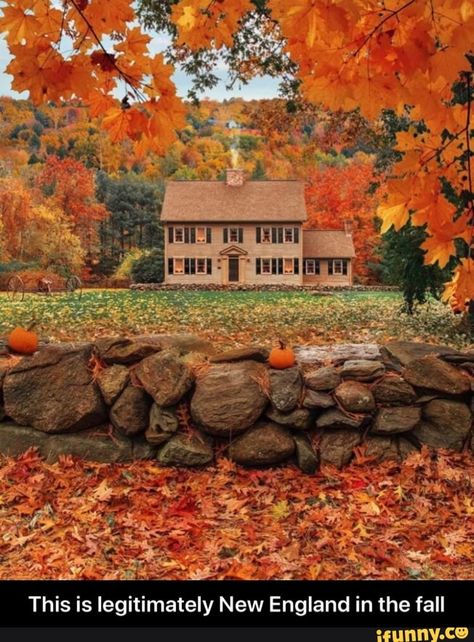 Autumn In The Country, Autumn By The Sea, Leaves On The Ground, Studera Motivation, Stone Fence, New England Fall, Autumn Scenes, New Farm, Autumn Scenery