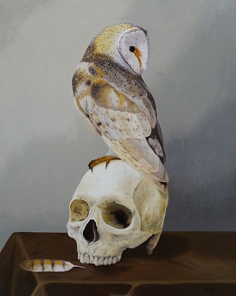 Original oil painting of a vanitas still life.  Still life of an owl on a skull. Painted on a wooden panel in a traditional technique.  Dimensions are 40 x 60 cm Vanitas Still Life, Life Paintings, Wooden Panel, A Skull, Still Life Painting, Large Format, Traditional Techniques, Peace Of Mind, Original Oil Painting