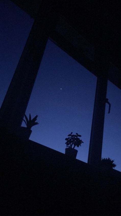 #window #night #star #venus #plant #silhouette #background #blue Window Sky Aesthetic, Silhouette Wallpaper Aesthetic, Stars Pics Night Skies, Window At Night Aesthetic, Blue Window Aesthetic, Night Sky From Window, Night Star Aesthetic, Night From Window, Moon From Window