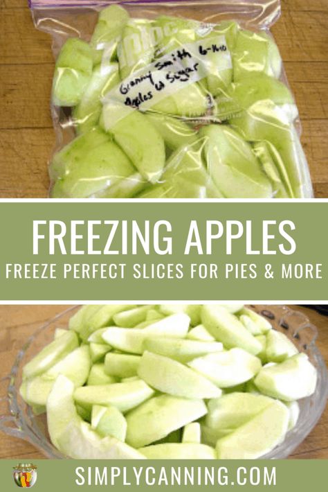 Freezing apples can be done in many ways. SimplyCanning.com shares tips and tricks for 3 different ways that you can preserve your apples in the freezer for easy use later. #SimplyCanning #FreezingApples #Apples Keep Apples From Turning Brown, How To Freeze Apples, Freezing Apple Pie, Freeze Apples, Preserving Apples, Making Apple Pie, Freezing Fruit, Freezing Vegetables, Freezing Apples