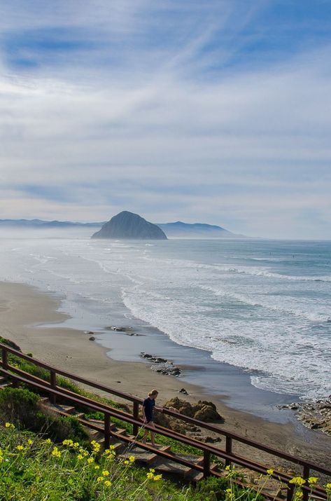 Morro Bay California, Nice Beach, Central Coast California, California Beaches, Room Window, Visit California, Central California, Koh Tao, California Beach