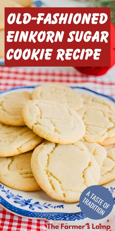 sugar cookies on a blue and white plate with red gingham tablecloth underneath with words written that read old fashioned einkorn sugar cookie recipe a taste of tradition the farmers lamp Einkorn Cookies, Ancient Grains Recipes, Einkorn Bread, Drop Sugar Cookies, Christmas Sugar Cookie Recipe, Einkorn Recipes, Einkorn Flour, Sugar Free Cookies, Sugar Cookie Recipe