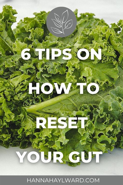 Gut Reset Diet, Reset Your Gut, Gut Reset, Gut Health Diet, Bloated Stomach, Stomach Issues, Improve Gut Health, Brain Fog, Healthy Digestion