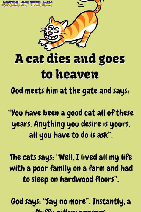 Humour, Nature, Family On A Farm, Cat Dies, Kueez Celebrity, Kueez Amazing, Kueez Pins, Funny Cat Jokes, Cat Yawning