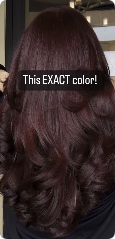 Ion Black Cherry Hair Color, Should I Dye My Hair Black, Cherry Chocolate Hair On Brown Skin, Dark Cherry Red Hair With Highlights Chocolate Brown, Cherry Chocolate Hair With Highlights, Dark Brown Hair Red Tint, Cherry Dark Brown Hair, Dark Chocolate Cherry Brown Hair, Cola Red Hair Color