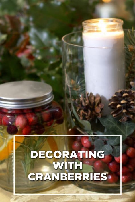 Join Maria in this fun and simple project of decorating with fresh cranberries and different items in your yard to create different decorations for the holidays! Decorating With Fresh Cranberries, Decorate With Cranberries, Decorating With Cranberries, Cranberry Decorations, Cranberries Decor, Cranberry Glass Vase, Plant Crafts, Cranberry Glass, Fresh Cranberries