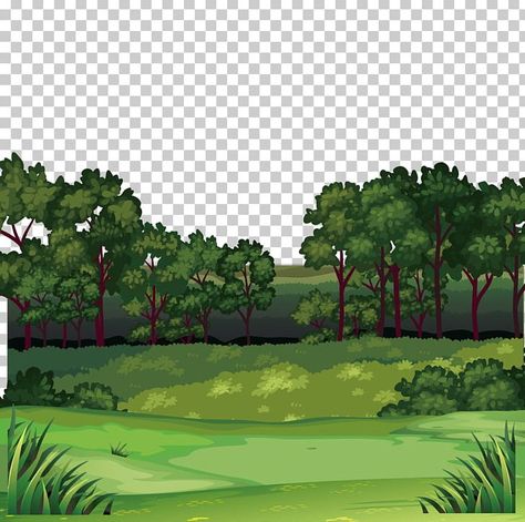 Grassland Ecosystem Drawing, Forest Ecosystem Drawing, Ecosystem Drawing, Grassland Drawing, Forest Pixel Art, Forest Clip Art, Grassland Biome, Forest Cartoon, Biology Projects