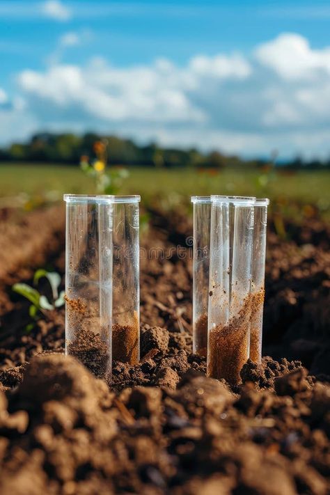 Test tubes with soil samples in nature. Selective focus. stock photos Soil Test, How To Test Soil, Soil Pollution Images, Alluvial Soil Image, Attention Grabbers, Root Veggies, Kids Worksheets Preschool, Soil Testing, Test Tube