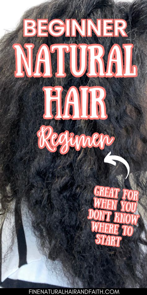 natural hair care routine at home Natural Hair Journey Tips, Hair Journey Tips, Natural Hair Maintenance, Dry Natural Hair, Natural Hair Care Routine, Natural Hair Moisturizer, Healthy Natural Hair Growth, Natural Hair Routine, Natural Hair Transitioning