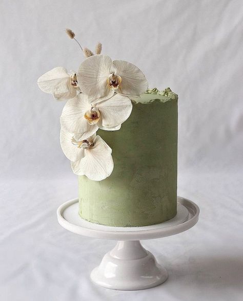 Pandan Cake, Green Wedding Cake, Matcha Cake, Small Wedding Cakes, Green Cake, Simple Cake Designs, Beautiful Birthday Cakes, Simple Wedding Cake, Elegant Cakes