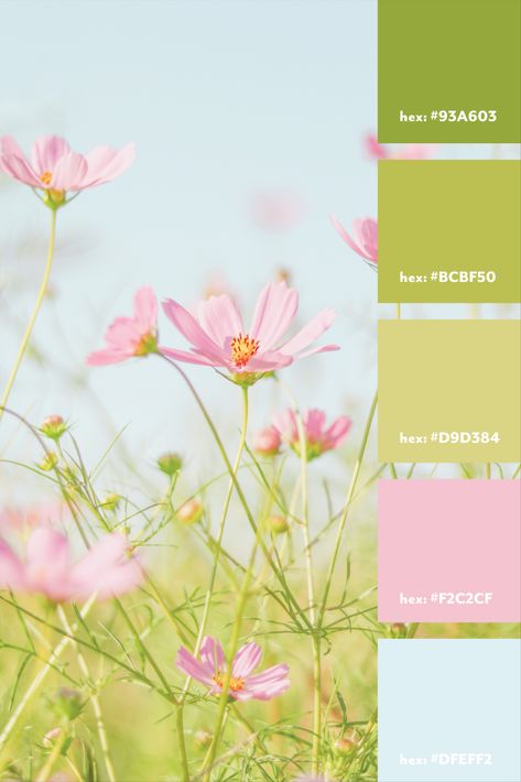 Pastel Pink Blue Green Palette, Pastel Green And Pink Color Palette, Green Summer Color Palette, Lime Green And Pink Aesthetic, Pink Gold Green Color Palettes, Lime Green And Pink Color Palette, Light Blue Pink Green Color Palette, Green Spring Color Palette, Pastel Nature Color Palette