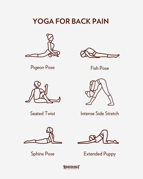 Yoga Poses For Back Pain, Yoga Poses For Back, Motivasi Diet, Morning Yoga Routine, Yoga For Back Pain, Relaxing Yoga, Easy Yoga Workouts, Body Workout Plan, Daily Yoga