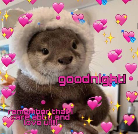 wholesome otter goodnight reaction pic Otter Memes Love, Cute Goodnight Reaction Pic, Text Back Reaction Pic, Good Night Reaction Pic Cute, Reaction Pictures Goodnight, Gn Reaction Pic, Good Night Wholesome, Goodnight Wholesome, Night Reaction Pic