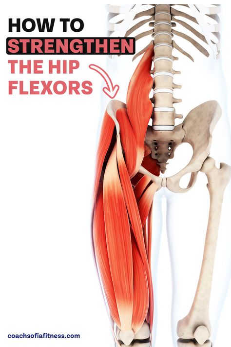 Strengthen the primary hip flexor muscles with these 4 fantastic exercises you've never tried before. These exercises are specific to the hip flexor muscles and will help you build more hip strength and engage your abdominals as well. If you like to walk, run or even swim, it's important to have strong hip flexor muscles and these exercises will help you achieve that. We'll strengthen the psoas, the TFL, the quads all at once. Piriformis Exercises, Strengthen Hip Flexors, Exercises For Strength, Strengthen Hips, Hip Flexor Pain, Hip Strength, Hip Mobility Exercises, Quad Muscles, Hip Strengthening Exercises