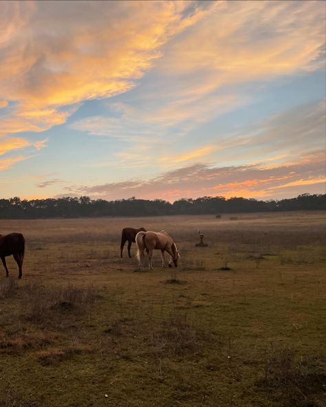 Spotify Playlist Covers Aesthetic Country, Country Music Playlist Cover, Country Pfps, Music Country, Country Playlist Cover, Vintage Country Music Aesthetic, Country Playlist Cover Photo Aesthetic, Country Vibe, Country Singer