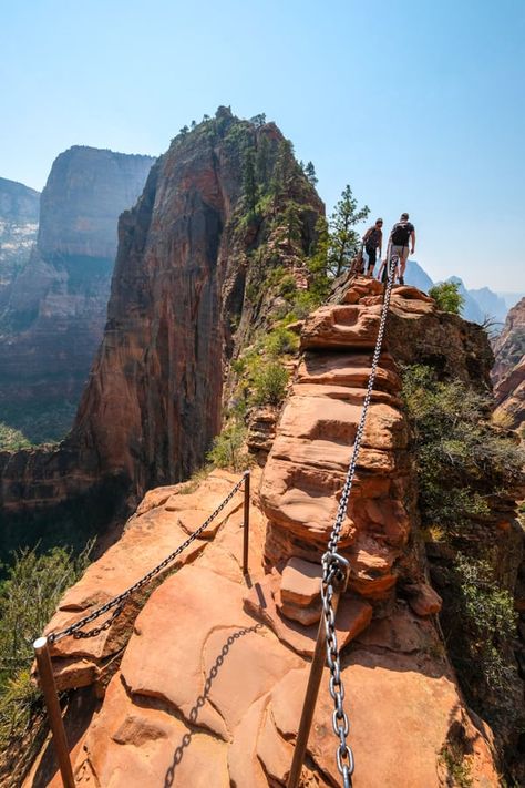 Angels Landing Hike: Epic Chain Trail In Zion National Park Utah Utah Hiking Trails, Zion Hikes, Angels Landing Zion, Zion Utah, Zion National Park Utah, Angels Landing, Utah Hikes, Hiking National Parks, Utah Travel