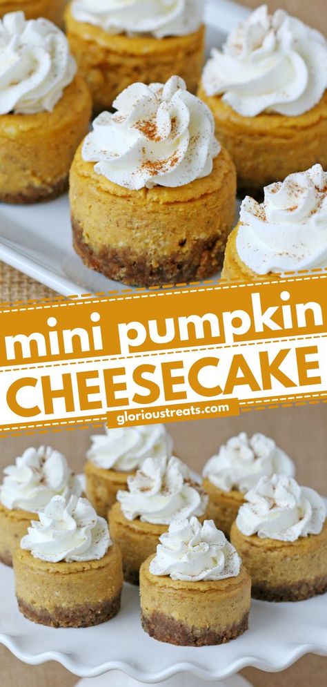 Mini Pumpkin Cheesecake, thanksgiving desserts, fall baking recipes Individual Pumpkin Cheesecake Cups, Thanksgiving Desserts Pumpkin Cheesecake, Small Pumpkin Cheesecake Recipe, Pumpkin Cheesecake Tarts, Mini No Bake Pumpkin Cheesecake, Thanksgiving Recipes Dessert Cheesecake, Thanksgiving Small Desserts, Small Batch Pumpkin Cheesecake, Mini Sweet Potato Cheesecake