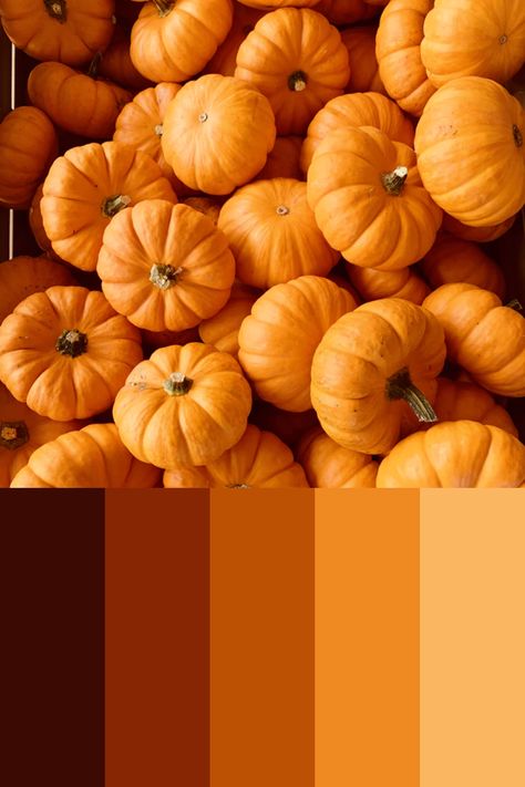 Pumpkin Colour Palette, Pumpkin Spice Color Palette, Pumpkin Color Palette, Food Color Palette, Fall Orange Color, Autumn Mood Board, Food Colors Palette, Halloween Moodboard, Gang Art