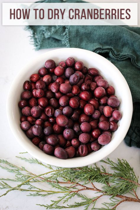 You'll learn how to dry cranberries for decorating and different ways to use dried cranberries in your Holiday decorating. How To Dry Cranberries For Potpourri, How To Dry Cranberries, Cranberries Decor, Dry Cranberries, Dried Cranberries Recipes, Style A Bed, Holiday Potpourri, Dried Potpourri, Homemade Potpourri