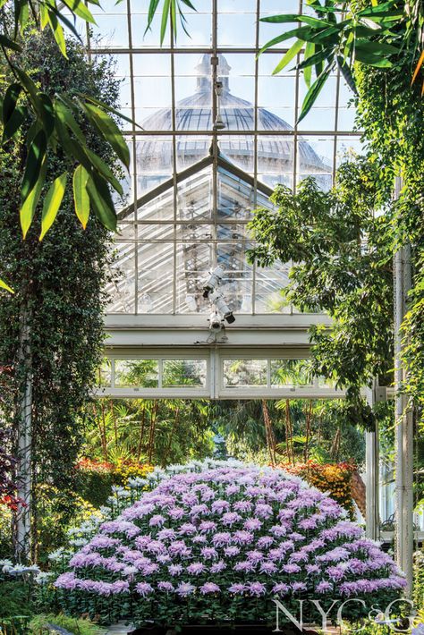 Victorian Greenhouses, Montreal Botanical Garden, Denver Botanic Gardens, New York City Vacation, Atlanta Botanical Garden, New York Botanical Garden, The Bronx New York, Chicago Botanic Garden, Desert Botanical Garden