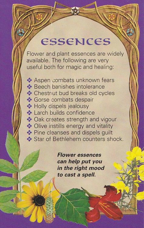 Starter Herbs For Witches, Herbs For Witches, Witches Garden, Magickal Herbs, Witch Herbs, Witch Garden, Magic Herbs, Magical Herbs, Witch Craft