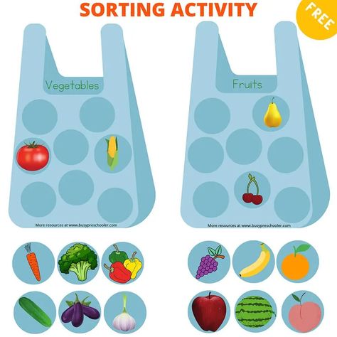 Fun Food Activities, Food Sorting Activity, Food Activities, Kids Worksheets Preschool, Preschool Activities Toddler, Kindergarten Learning Activities, Baby Learning Activities, Math Activities Preschool, Sorting Activities