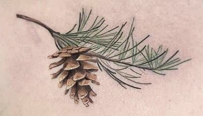 Pine Cone Branch Tattoo, Cranberry Branch Tattoo, Pine Needle Tattoo Branches, White Pine Cone Tattoo, Douglas Fir Branch Tattoo, Pine Tattoo Branch, Pine Bough Tattoo, Pine Tree Branch Tattoo, Lodgepole Pine Tattoo